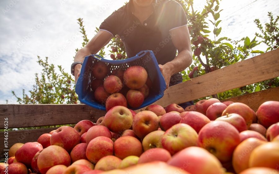 Landwirtschaft